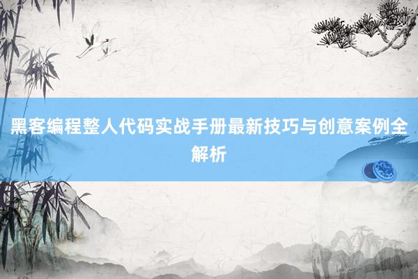 黑客编程整人代码实战手册最新技巧与创意案例全解析